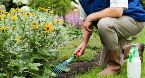 Garden clearance team removing overgrown vegetation in a London yard