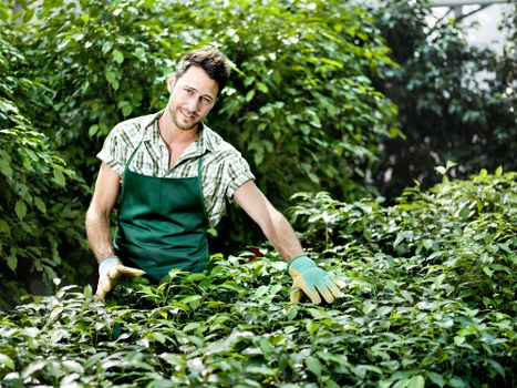 Investigator examining a landscaped garden for assessment