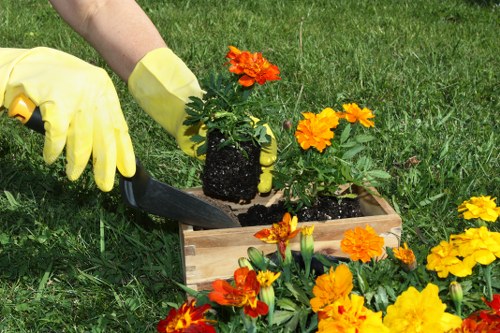 Gardener Stockwell creating a peaceful garden sanctuary